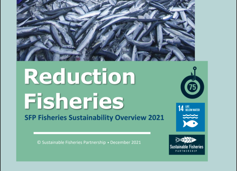 Reducción de la pesca Perspectiva general de la sostenibilidad de la pesca en 2021
